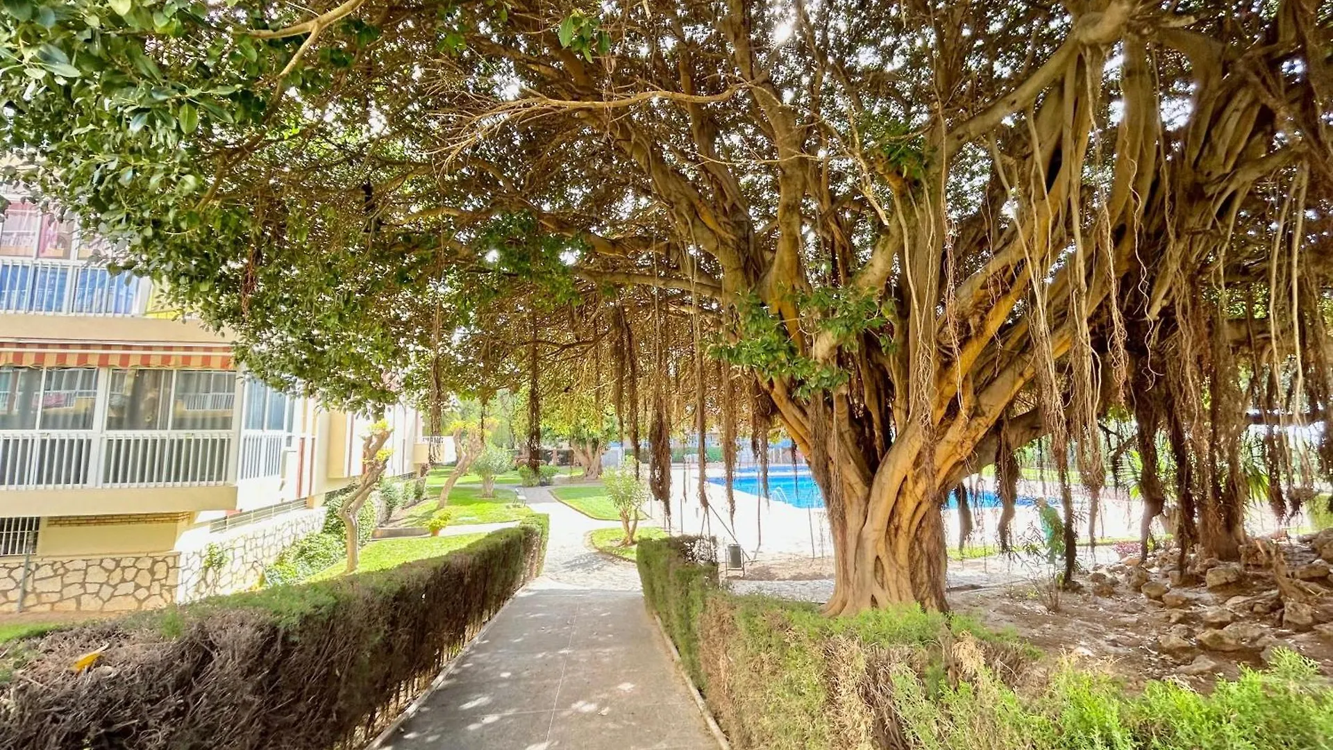 Apartamento Hoja De Palma Benalmádena